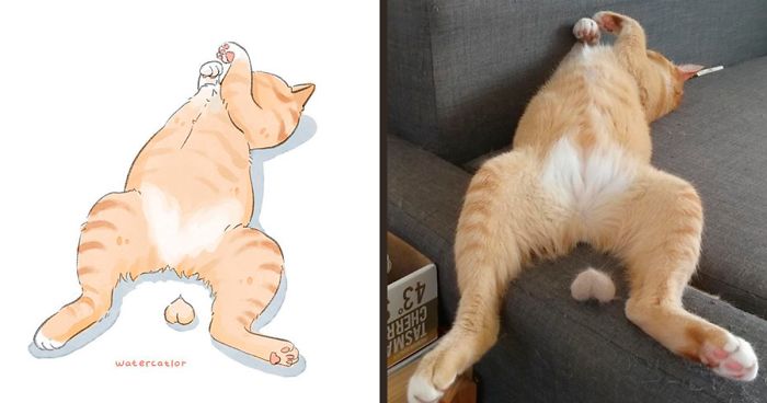 30 Of The Funniest Internet-Famous Cat Pics Get ‘Watercolorized’ By Amelia Rizky