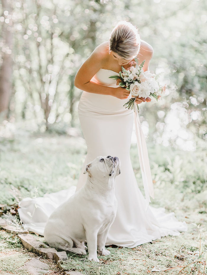 Dog Refuses To Take His Owners' Wedding Day Seriously, Steals The Whole Show Dog Refuses To Take His Owners' Wedding Day Seriously, Steals The Whole Show