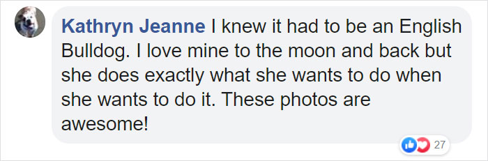 Dog Refuses To Take His Owners' Wedding Day Seriously, Steals The Whole Show