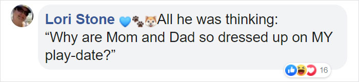 Dog Refuses To Take His Owners' Wedding Day Seriously, Steals The Whole Show