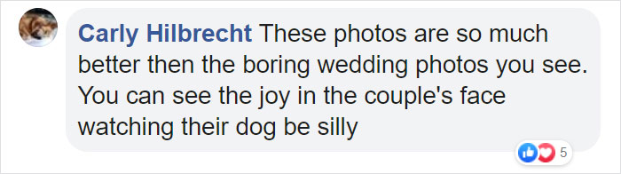 Dog Refuses To Take His Owners' Wedding Day Seriously, Steals The Whole Show Dog Refuses To Take His Owners' Wedding Day Seriously, Steals The Whole Show