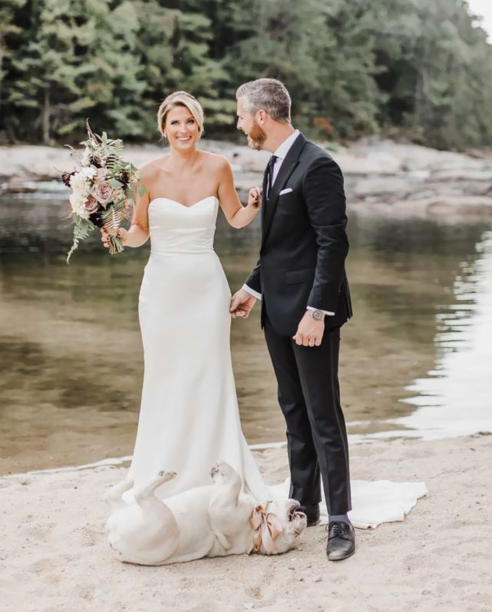 Dog Refuses To Take His Owners' Wedding Day Seriously, Steals The Whole Show Dog Refuses To Take His Owners' Wedding Day Seriously, Steals The Whole Show