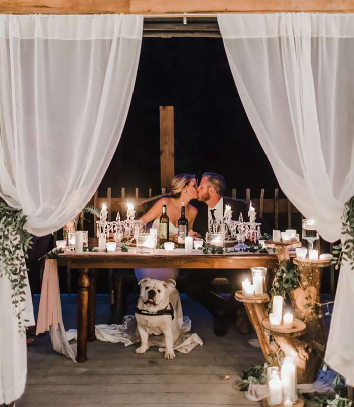 Dog Refuses To Take His Owners' Wedding Day Seriously, Steals The Whole Show Dog Refuses To Take His Owners' Wedding Day Seriously, Steals The Whole Show