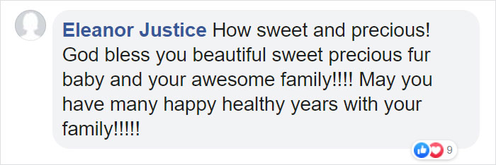 Family Spends Hours Looking For Grandma‘s Lost Dentures Only To Find Them In Their Dog's Mouth Family Spends Hours Looking For Grandma‘s Lost Dentures Only To Find Them In Their Dog's Mouth