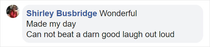 Family Spends Hours Looking For Grandma&lsquo;s Lost Dentures Only To Find Them In Their Dog's Mouth