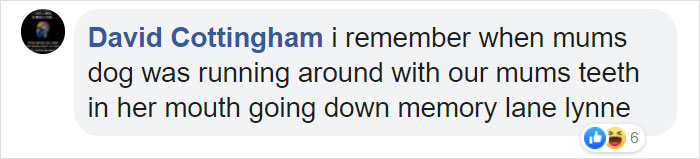 Family Spends Hours Looking For Grandma‘s Lost Dentures Only To Find Them In Their Dog's Mouth Family Spends Hours Looking For Grandma‘s Lost Dentures Only To Find Them In Their Dog's Mouth