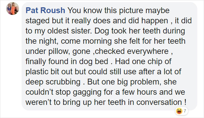 Family Spends Hours Looking For Grandma‘s Lost Dentures Only To Find Them In Their Dog's Mouth Family Spends Hours Looking For Grandma‘s Lost Dentures Only To Find Them In Their Dog's Mouth