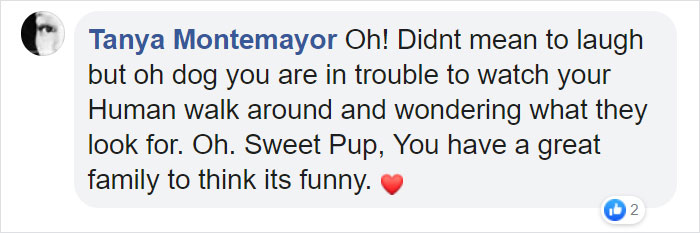 Family Spends Hours Looking For Grandma‘s Lost Dentures Only To Find Them In Their Dog's Mouth Family Spends Hours Looking For Grandma‘s Lost Dentures Only To Find Them In Their Dog's Mouth