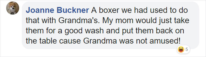 Family Spends Hours Looking For Grandma&lsquo;s Lost Dentures Only To Find Them In Their Dog's Mouth