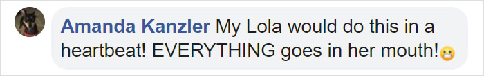 Family Spends Hours Looking For Grandma‘s Lost Dentures Only To Find Them In Their Dog's Mouth Family Spends Hours Looking For Grandma‘s Lost Dentures Only To Find Them In Their Dog's Mouth
