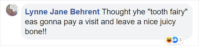 Family Spends Hours Looking For Grandma‘s Lost Dentures Only To Find Them In Their Dog's Mouth Family Spends Hours Looking For Grandma‘s Lost Dentures Only To Find Them In Their Dog's Mouth
