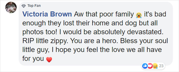 Hero Dog Sacrifices Himself To Save His Entire Family From Fire Hero Dog Sacrifices Himself To Save His Entire Family From Fire