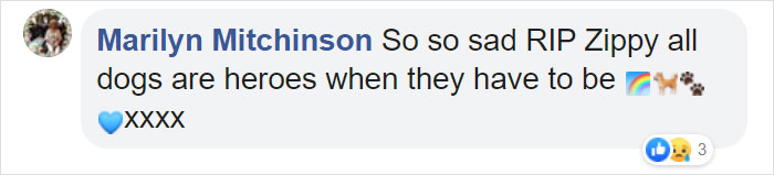 Hero Dog Sacrifices Himself To Save His Entire Family From Fire