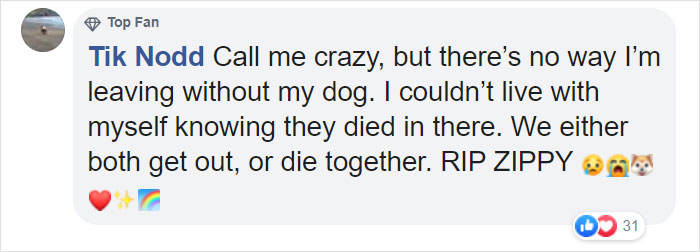 Hero Dog Sacrifices Himself To Save His Entire Family From Fire Hero Dog Sacrifices Himself To Save His Entire Family From Fire