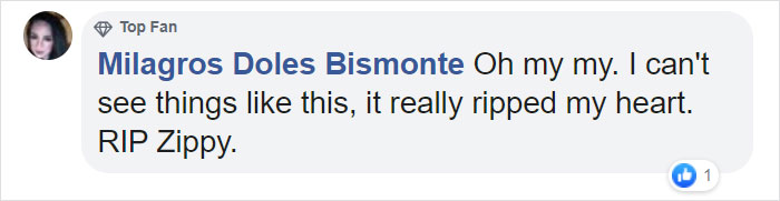 Hero Dog Sacrifices Himself To Save His Entire Family From Fire Hero Dog Sacrifices Himself To Save His Entire Family From Fire