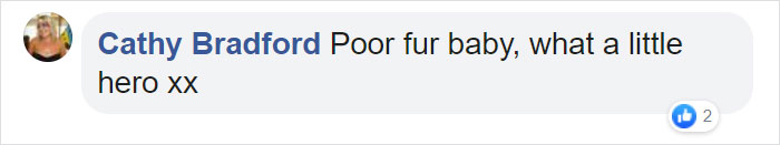 Hero Dog Sacrifices Himself To Save His Entire Family From Fire