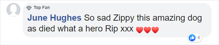 Hero Dog Sacrifices Himself To Save His Entire Family From Fire Hero Dog Sacrifices Himself To Save His Entire Family From Fire