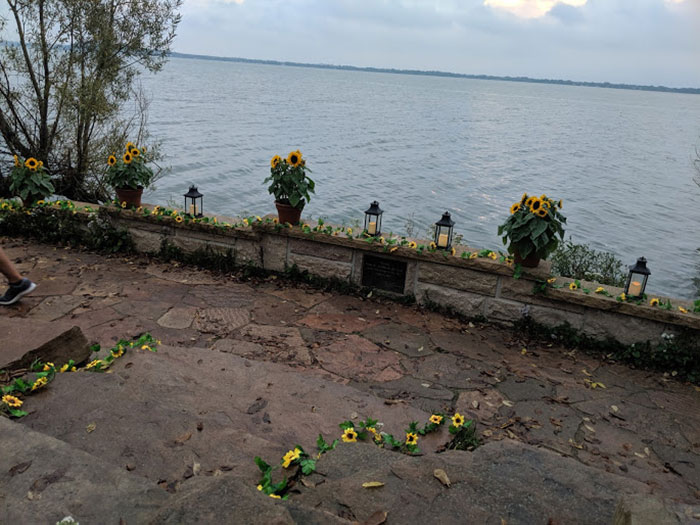 Girl Becomes A Bush On The Day Of Her Sister's Engagement So She Could Capture The Moment Unnoticed