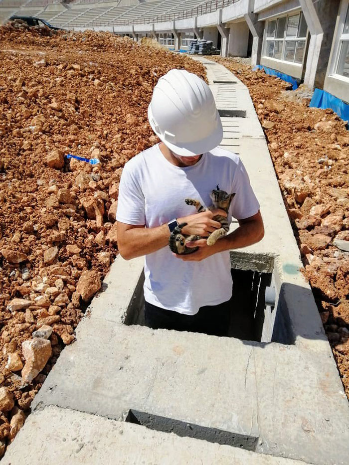 I Found A Kitten On My Construction Site Today, 0 Work Got Done After That
