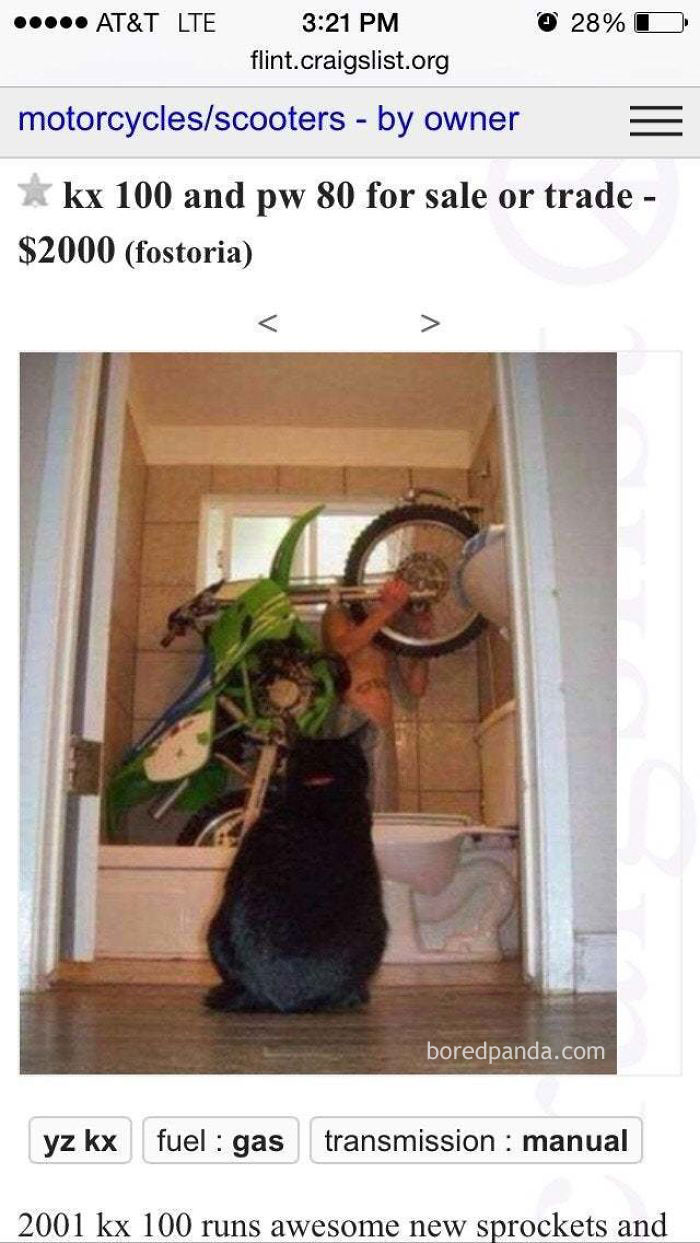 So I Was Browsing Craigslist, When This Picture Caught My Eye