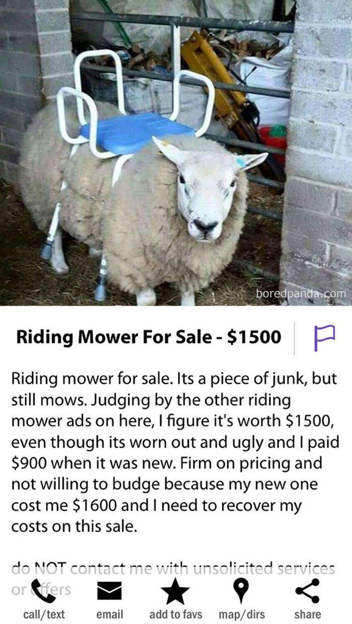 Found On Craigslist In My City