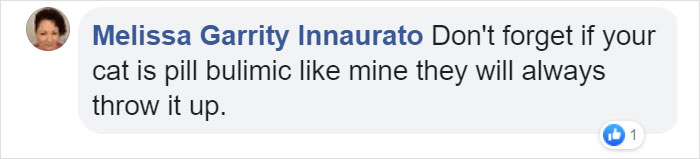 10-Step Guide Goes To Absurd Lengths Explaining How To Make A Cat Take A Pill, And It's Hilarious