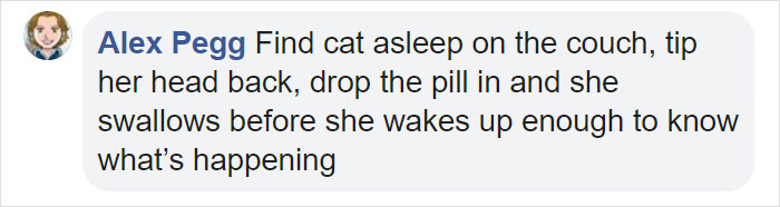 10-Step Guide Goes To Absurd Lengths Explaining How To Make A Cat Take A Pill, And It's Hilarious