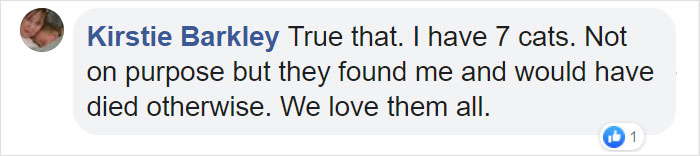 10-Step Guide Goes To Absurd Lengths Explaining How To Make A Cat Take A Pill, And It's Hilarious