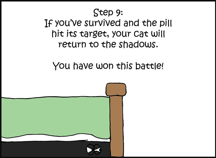 10-Step Guide Goes To Absurd Lengths Explaining How To Make A Cat Take A Pill, And It's Hilarious