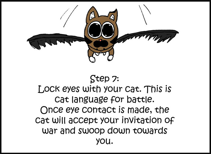 10-Step Guide Goes To Absurd Lengths Explaining How To Make A Cat Take A Pill, And It's Hilarious 10-Step Guide Goes To Absurd Lengths Explaining How To Make A Cat Take A Pill, And It's Hilarious