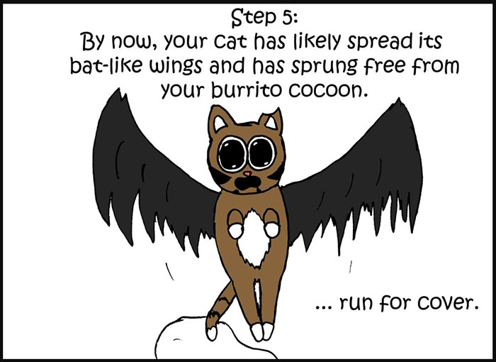 10-Step Guide Goes To Absurd Lengths Explaining How To Make A Cat Take A Pill, And It's Hilarious