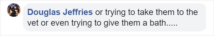 10-Step Guide Goes To Absurd Lengths Explaining How To Make A Cat Take A Pill, And It's Hilarious 10-Step Guide Goes To Absurd Lengths Explaining How To Make A Cat Take A Pill, And It's Hilarious