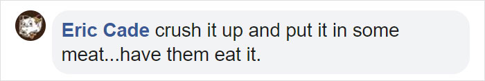 10-Step Guide Goes To Absurd Lengths Explaining How To Make A Cat Take A Pill, And It's Hilarious 10-Step Guide Goes To Absurd Lengths Explaining How To Make A Cat Take A Pill, And It's Hilarious
