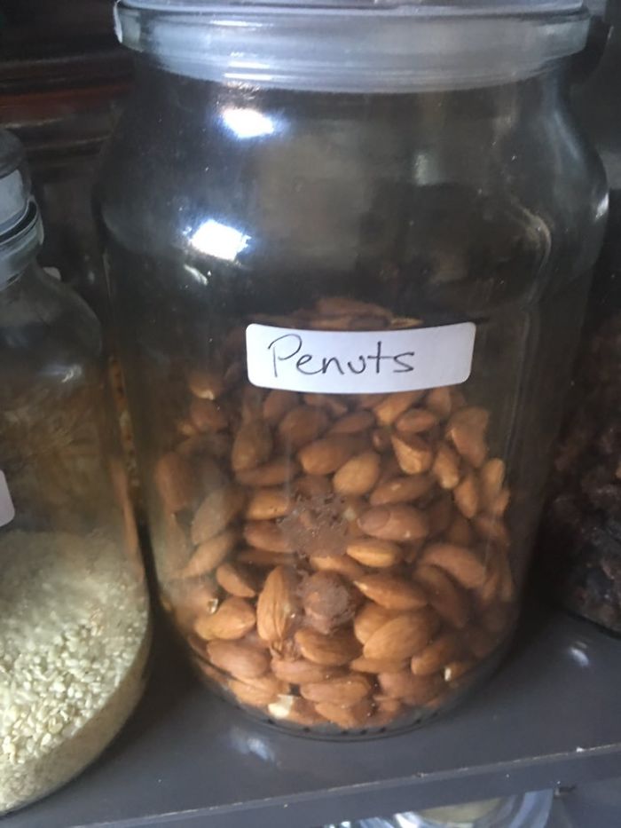 Funny-Mispronounce-Words-Malapropisms