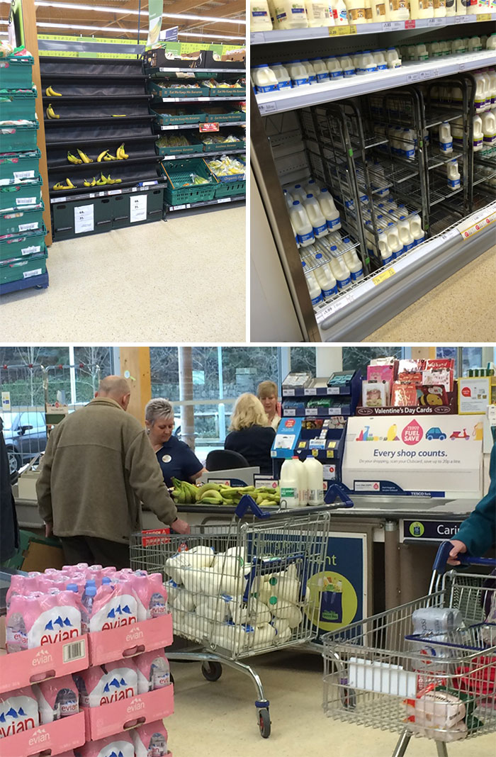 I Think About Him Every Day. Why Did He Need The Bananas? Why Did He Need The Milk?