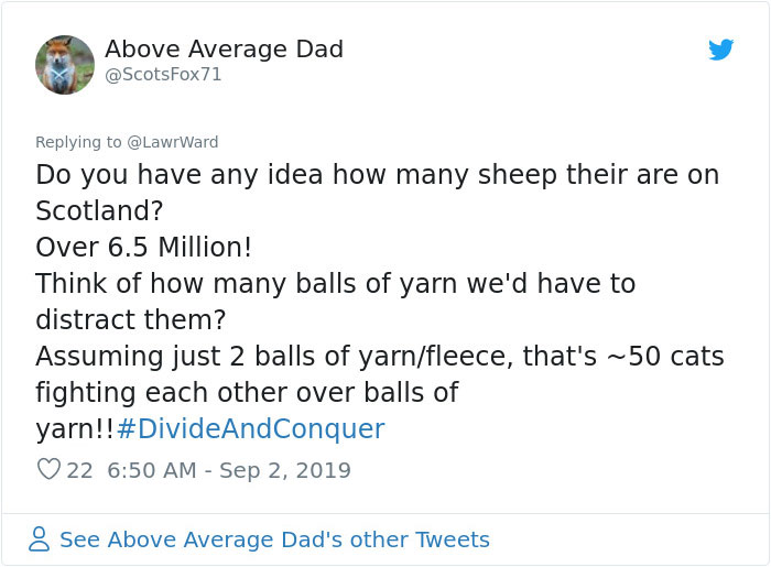 This Thread Detailing How Cats Could Take Over Scotland Is Hilarious