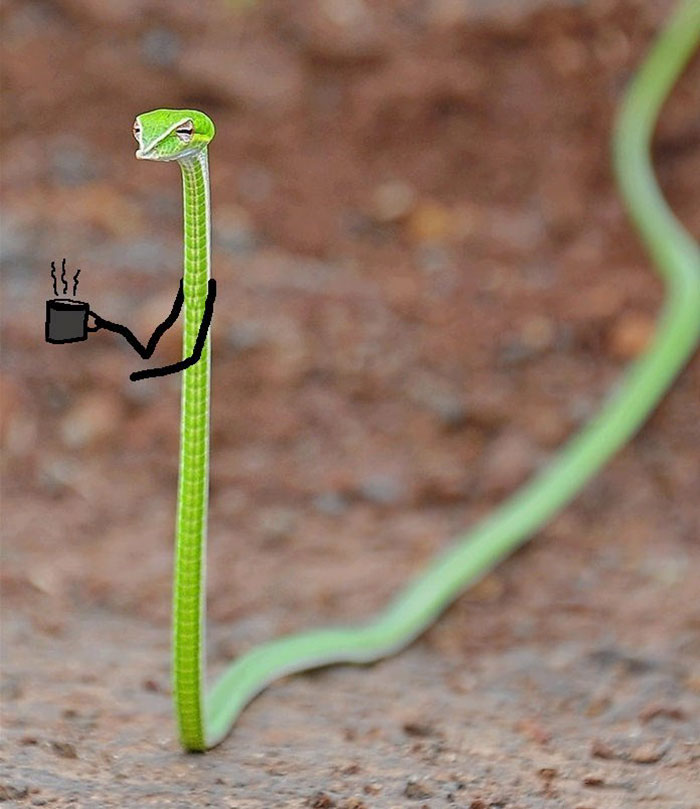 I Need My Morning Coffee