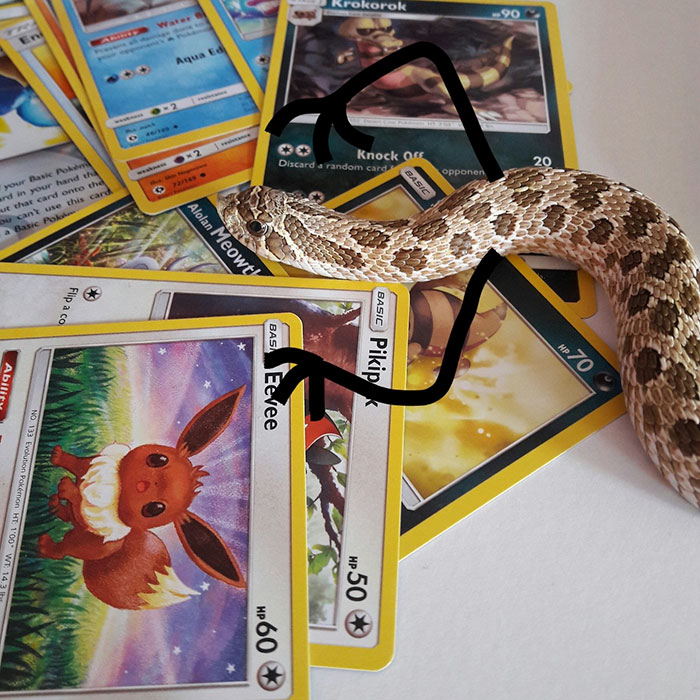 Wanna See My Collection?