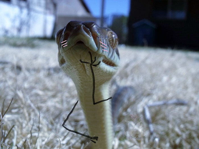 Oh, This Is So Embarrassing