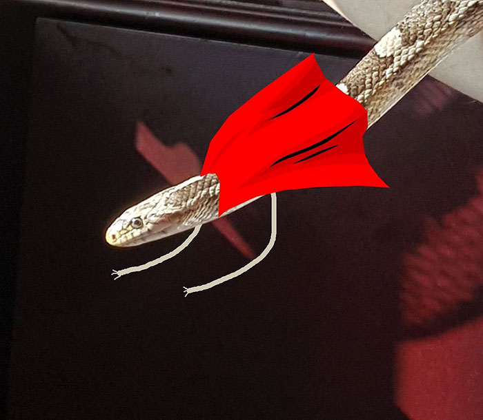 Captain Snarms Is Here To Snave The Day!