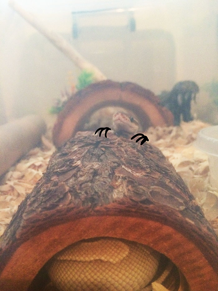 Welcome To My Office