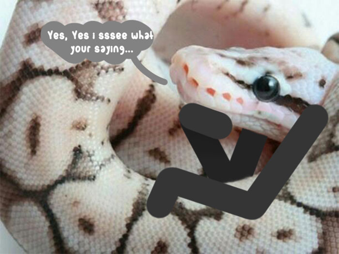 I See What You're Saying