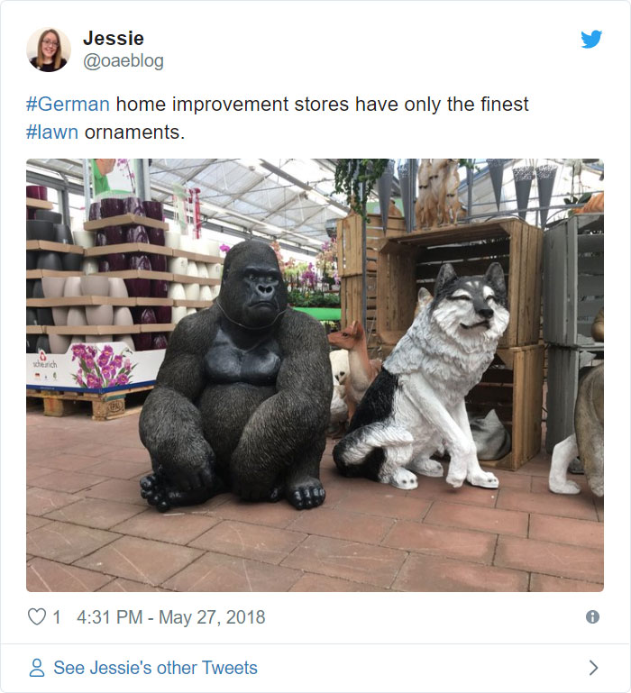 German-Funny-Things-Jessie-Meier