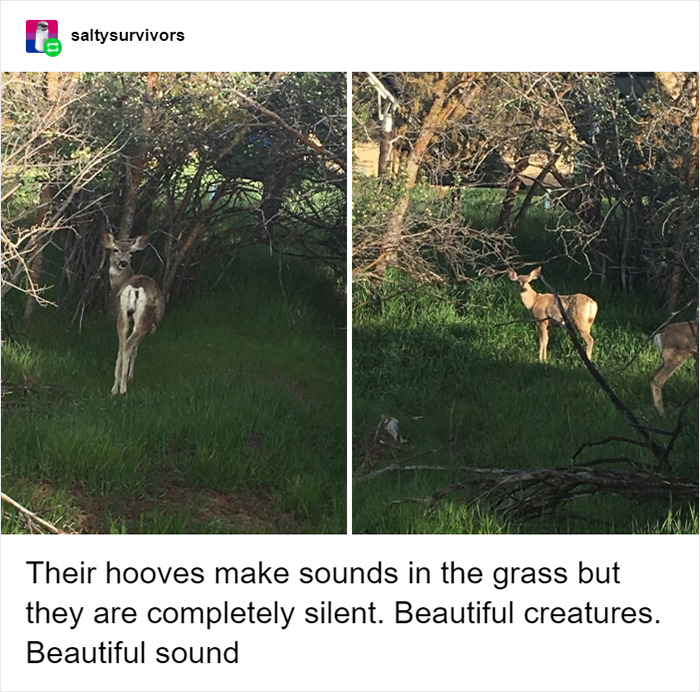 Girl Shares Things She Didn't Know Made Sounds Before Getting Hearing Aids And It's Heartwarming Girl Shares Things She Didn't Know Made Sounds Before Getting Hearing Aids And It's Heartwarming