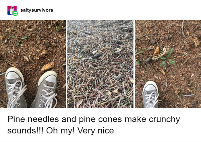 Girl Shares Things She Didn't Know Made Sounds Before Getting Hearing Aids And It's Heartwarming Girl Shares Things She Didn't Know Made Sounds Before Getting Hearing Aids And It's Heartwarming