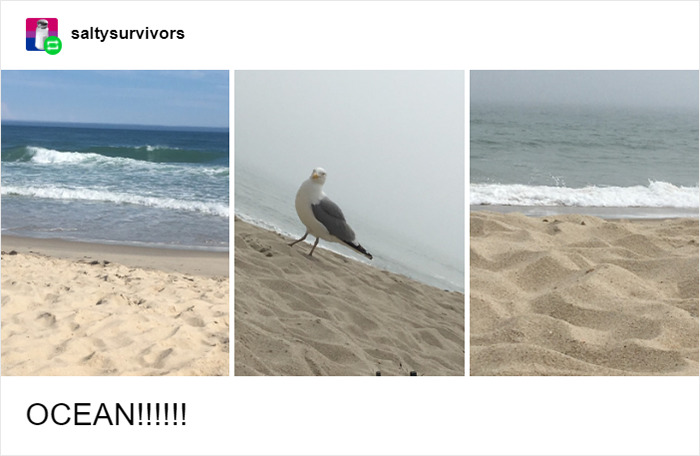 Girl Shares Things She Didn't Know Made Sounds Before Getting Hearing Aids And It's Heartwarming Girl Shares Things She Didn't Know Made Sounds Before Getting Hearing Aids And It's Heartwarming