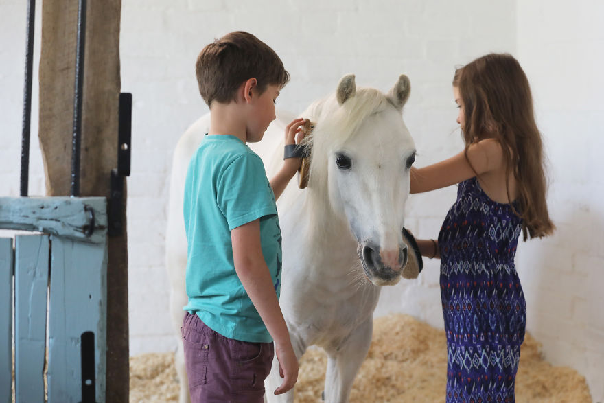 Meet Our Animals Who Help Special Needs Children In Ways That We, Humans, Struggle To Meet Our Animals Who Help Special Needs Children In Ways That We, Humans, Struggle To