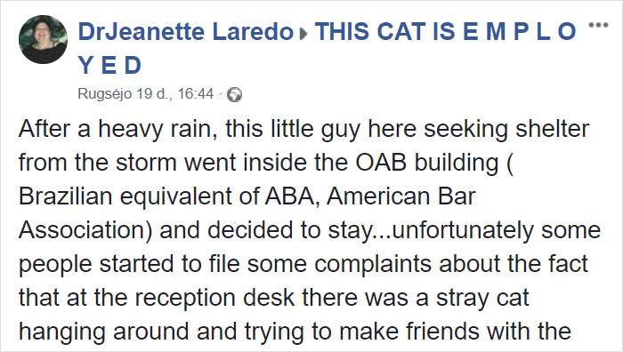 Some People Started Filing Complaints About A Stray Kitty Roaming This Law Firm So They Hired Him Some People Started Filing Complaints About A Stray Kitty Roaming This Law Firm So They Hired Him