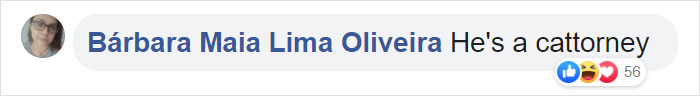 Some People Started Filing Complaints About A Stray Kitty Roaming This Law Firm So They Hired Him Some People Started Filing Complaints About A Stray Kitty Roaming This Law Firm So They Hired Him
