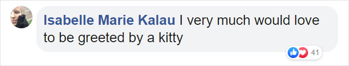 Some People Started Filing Complaints About A Stray Kitty Roaming This Law Firm So They Hired Him Some People Started Filing Complaints About A Stray Kitty Roaming This Law Firm So They Hired Him